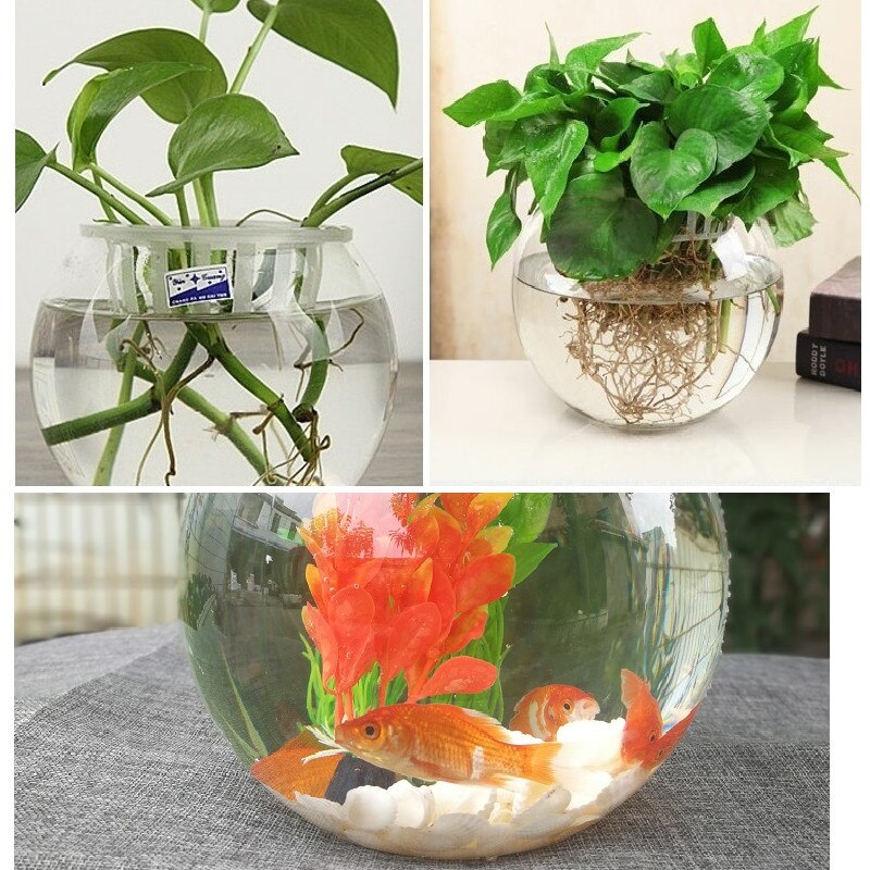 Aquarium rond en plastique Transparent pour poissons rouges, en acrylique, plante verte, nouveauté