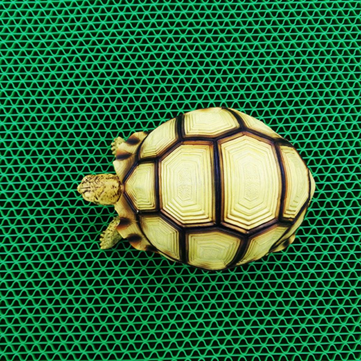 Pet Reptile Mat Plastic Mesh Waterproof Pad Lizard Water Absorption Carpet Degerming Tortoise Rug Reptile Animals Supplies