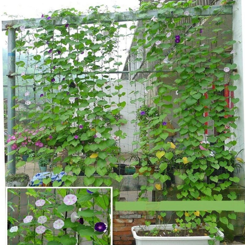 Red Verde de nailon para jardín de malla de 10x10cm apoyo redes para plantas trepadoras de judías crecer cerca de escalada neto engrosada línea