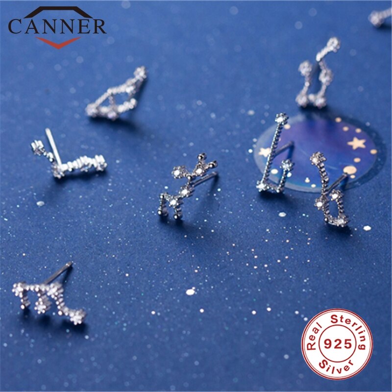 12 konstellation Kleine Frische Minimalistischen CZ Zirkon Ohrringe für Frauen 925 Sterling silber nette Stud Ohrringe Geburtstag