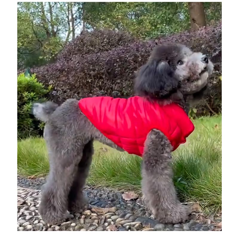 Ropa cálida para perros pequeños, chaleco cálido de invierno para mascotas, chaqueta para perros, chaleco para cachorros de Bulldog Francés, ropa para Chihuahua, traje, abrigo para Yorkies