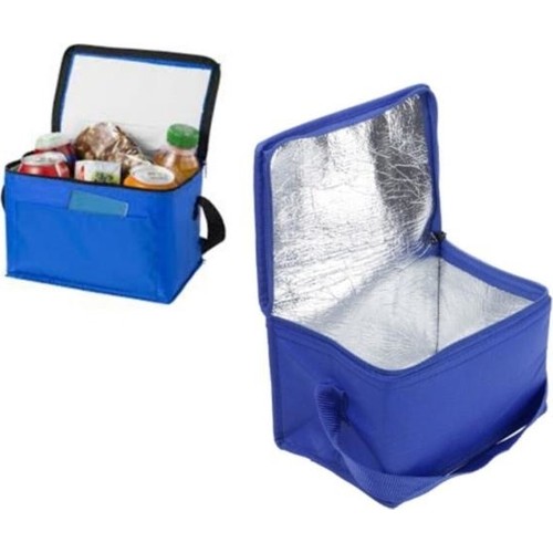 Ankaflex Picknick Tas Koeltas 21 Liter Auto Ijsbakje Koude Houder Tas