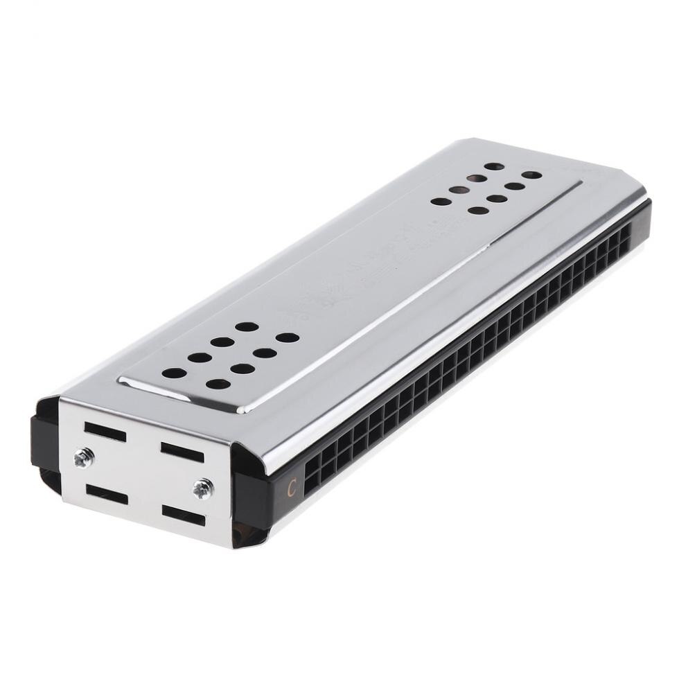 24 Holes Key Of C&G Silver Double Side Tremolo Harmonica for Adult Beginner & Children