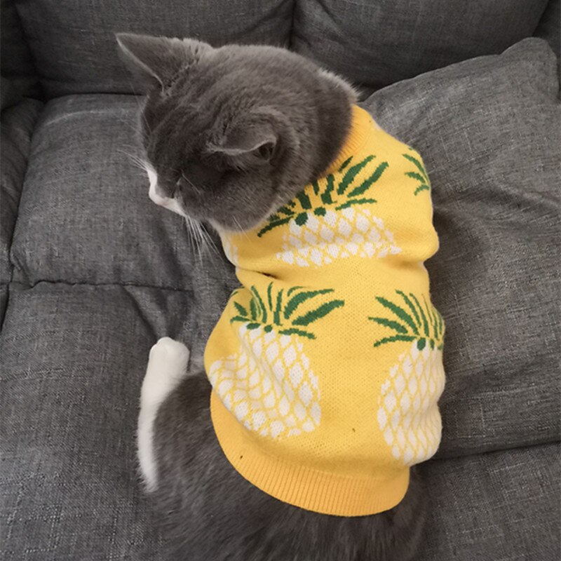 Pull de luxe à manches courtes pour chat et chien, ananas