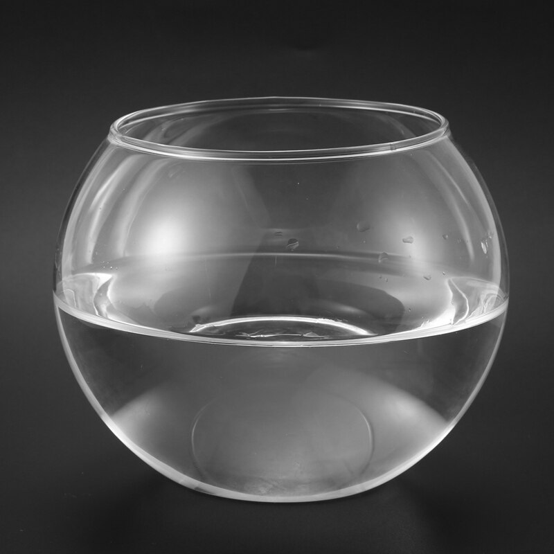 LBER Round Sphere Vase in Transparent Glass Fish Tank
