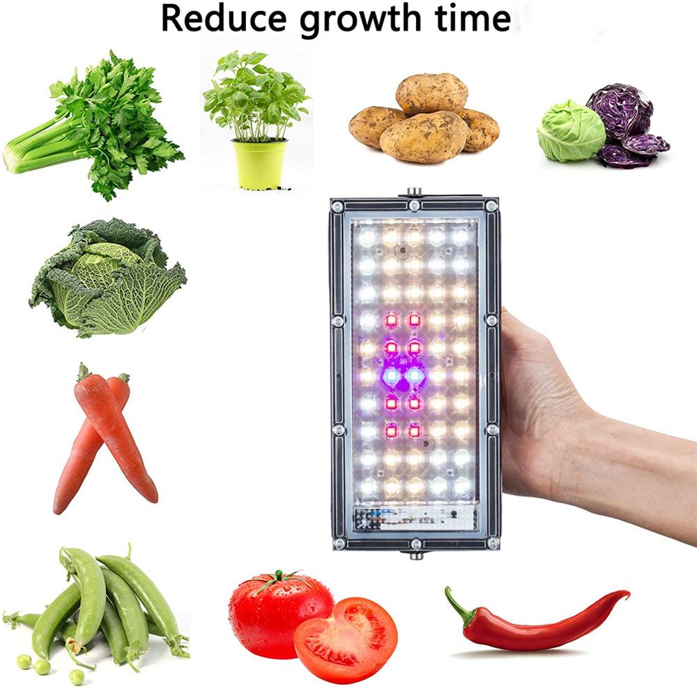 Indoor800W Led Grow Light Full Spectrum Led Phyto Groeiende Lampen Voor Planten Kas Hydrocultuur Tent Veg Bloei Bloem Zaaien