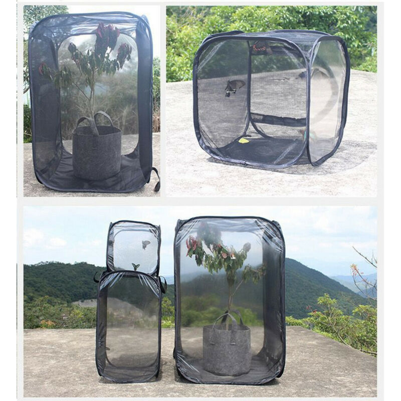 Foldable Habitat Insect Cage Mesh Transparent Surface Portable Zipper