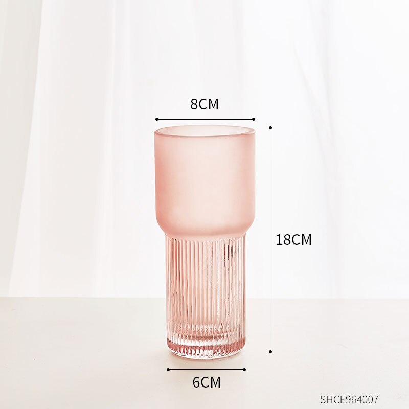 Eenvoudige decoratie van gematteerde glazen vazen, transparante vazen, scandinavische interieurdecoratie, inzetstuk voor thuis, bloemenknutsels: D