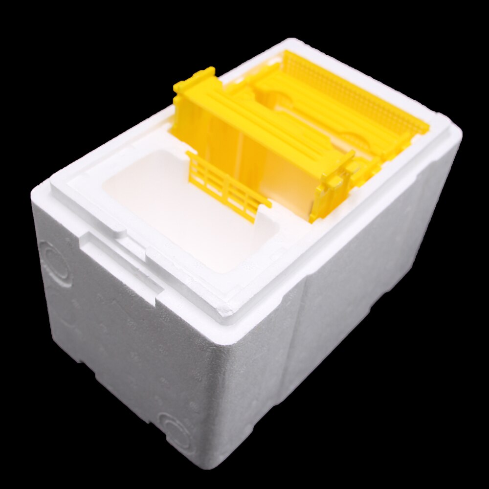 1PCS Beekeeping Hive Box Harvest Beehive King Queen Pollination Joining Mating Copulation Mating Multiply Breeding Bees Tools