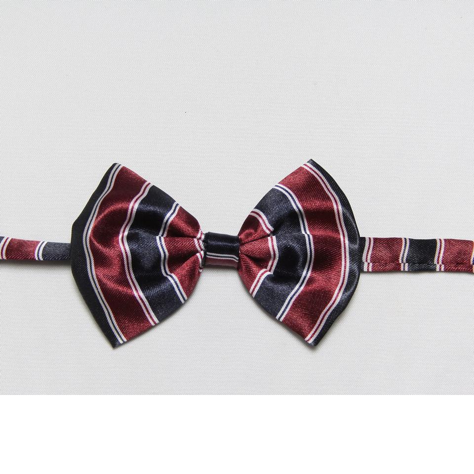 (5 stks/partij) Rode Plaid jongens Bowtie Polyester baby tie voor kids vlinders Stropdassen