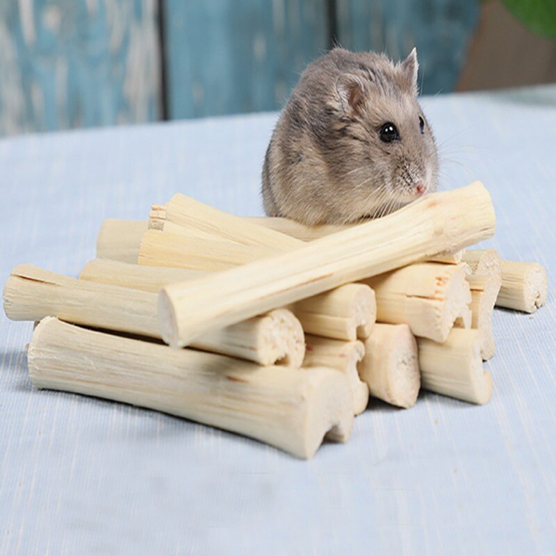 5pcs Pet Hamsters Snacks Sweet Bamboo Chew Toy for Squirrel Rabbits Guinea Pigs Chinchilla Hamster