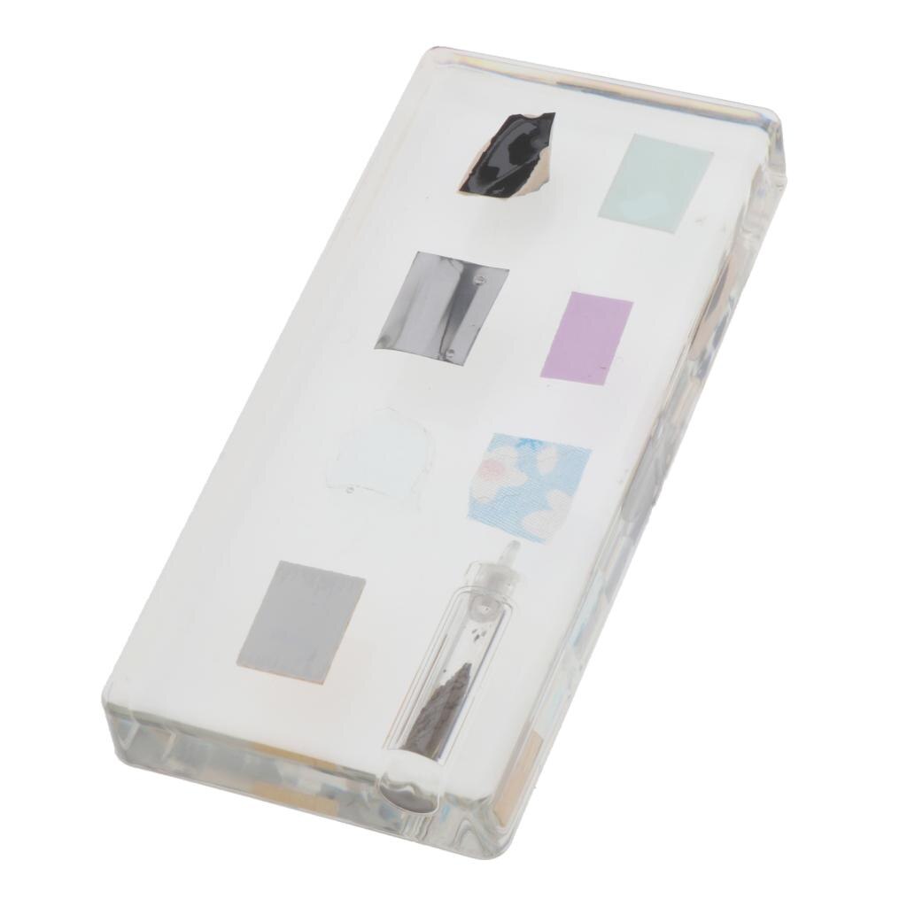 Kids Children Specimen Educational Explore Instrument School Biological Teaching Aids Biological Supplies: artificial material