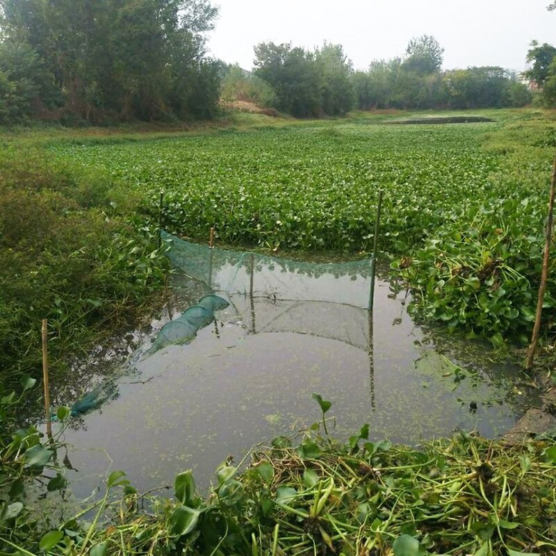 Fishing Net Trap Foldable Catch Fishing Network Shrimp Minnow Fishing Bait Landing Net Crab Trap