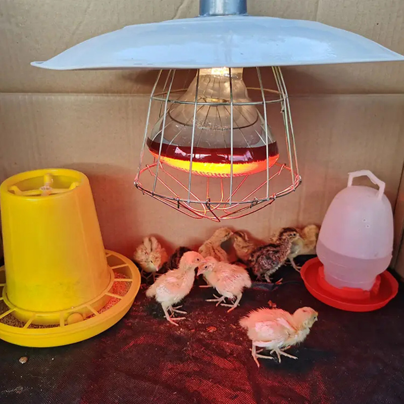 Bombilla calefactora para aves de corral de 220V, 100/150/200/275W, aislamiento térmico infrarrojo para reptiles, plantas, anfibios, mascotas, ganado y aves de corral