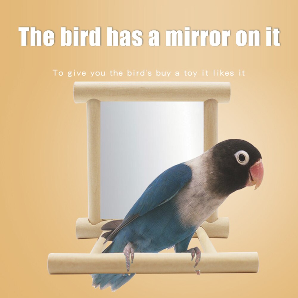 De Madera del espejo de juguete divertido Brid juguete para Cockatiel loros juguetes pequeños de pájaros y loros loro mascota accesorios para escalar