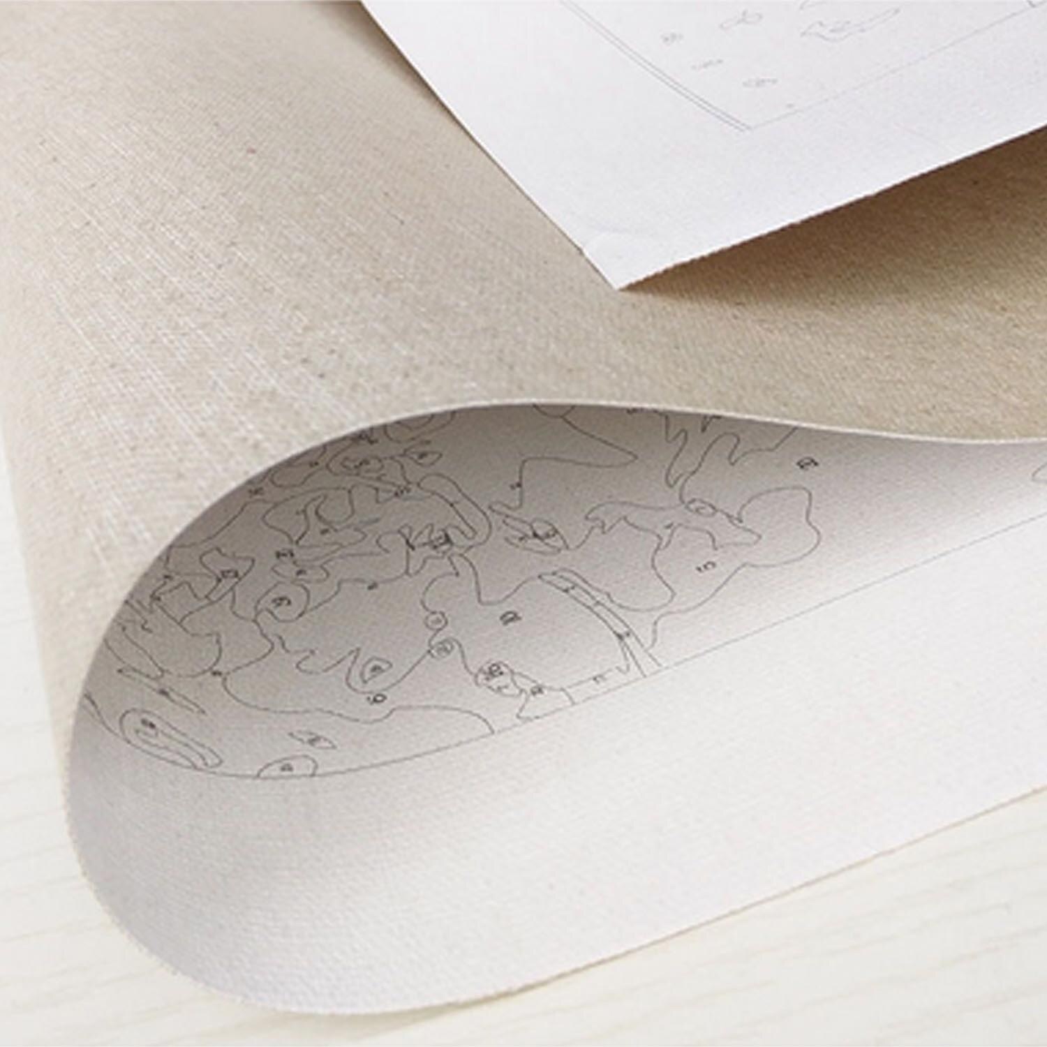 DIY Digital Oil Painting Kit Frameless Paint by Numbers Canvas for Adults Kids Beginners Home Rooms Office Decoration 40x50cm