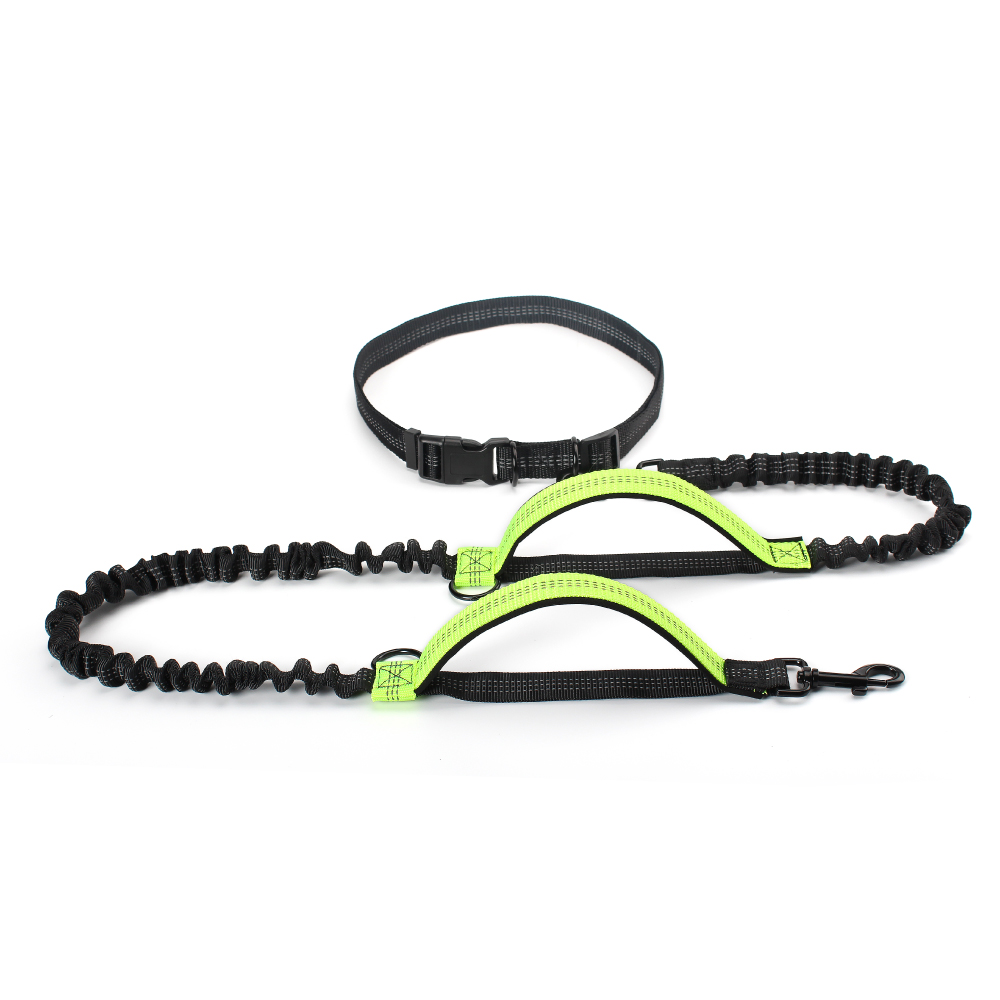 Pet Dog Running Leashes Reflective Traction Rope Belt Elastic Hands Freely Jogging Pull Dog Leash for Medium Large Dog Supplies: Green-padded handle