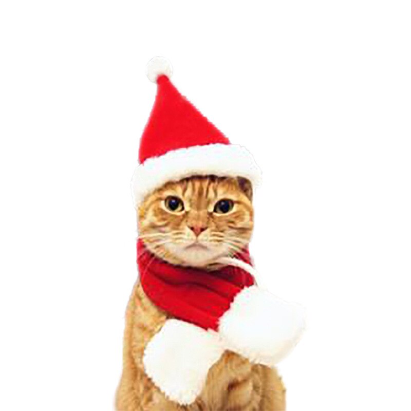 Gorros para perros y gatos, gorro para mascota y Papá Noel, bufanda y Collar con lazo, disfraz de Navidad para cachorro, gatito, gatos pequeños, perros, accesorios para mascotas: Hat and Scarf / S