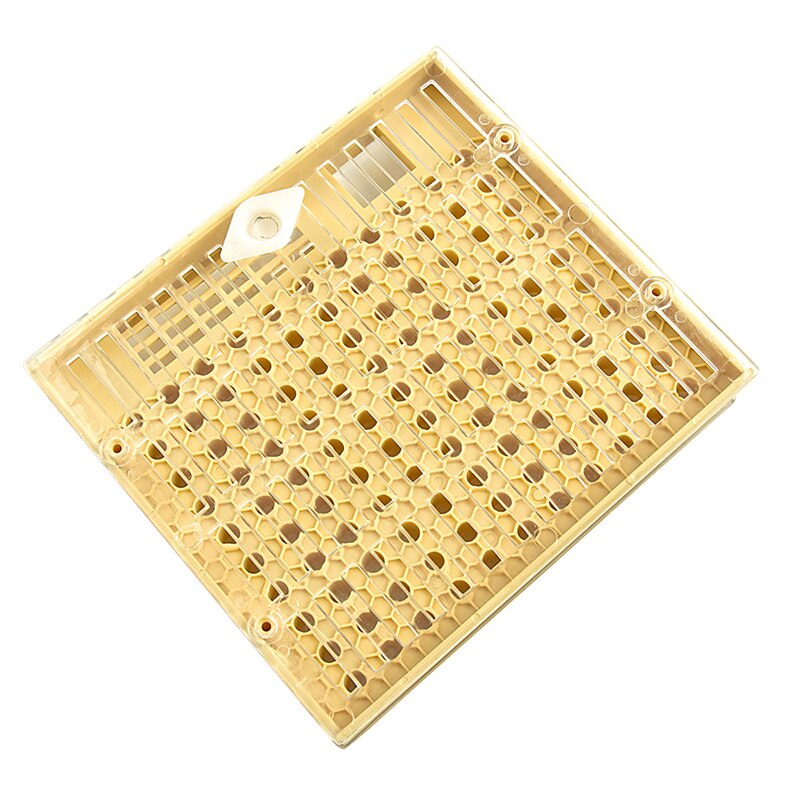 DLKKLB apicultura 1 piezas Nicot Abeja Reina cría sistema apicultura cultivar la reina sistema de caja de plástico de Nicot jaula herramientas Caja para Cultivar Abejas