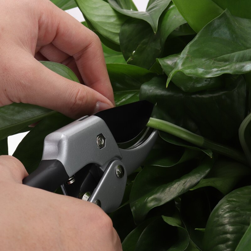 Ratchet Plant trim Horticulture Hand Shear Orchard Pruning Pruner Cut Secateur Shrub Garden Scissor Pruning Tools