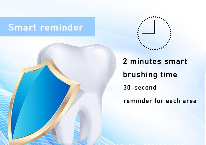 Ultrasonic Electric Toothbrush Adult Set Stainless Steel Waterproof Powerful Electric Toothbrush Sonic USB Charger Whitening