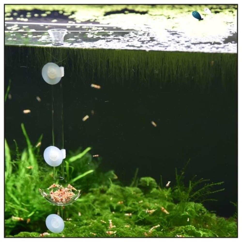 Akvarium akvariefoder akvarium räkor matning skål maträtt med silikon sugkopp mat behållare