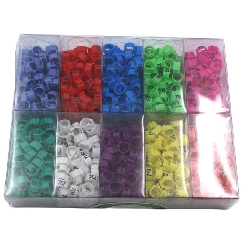 Sky Pet Products Coloured Ring - Vogelspeelgoed - per stuk - Schommel - Pets Place