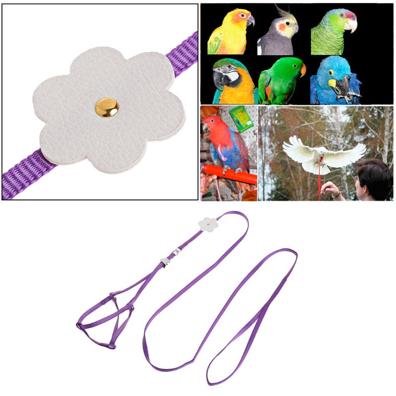 7 Colors Adjustable Bird Training Leash Portable Small Pets Walking Lead Rope Ultralight Flying Harness For Parrot Cat