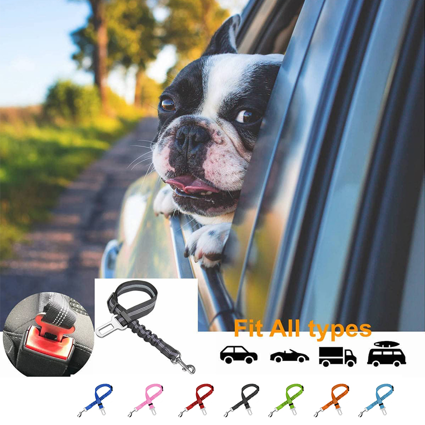 Hond Autogordel Elastische Verstelbaar Leash Riem Voor Huisdier Auto Reizen Hond Kat Veiligheid Touw Pet Travel Essentials Accessoires