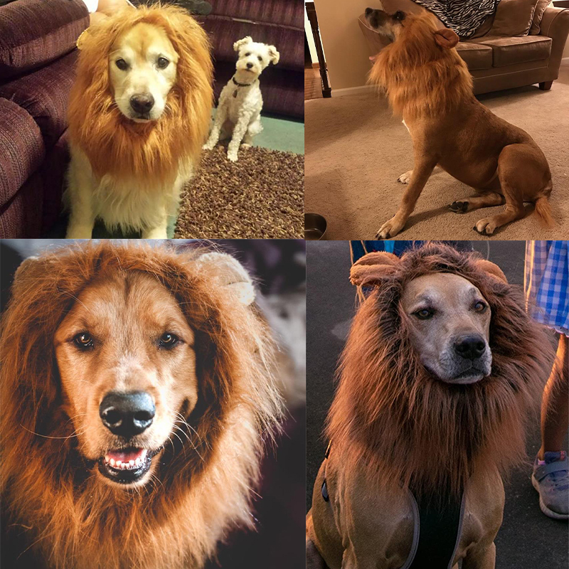 Peluca de Melena De León para perro, ropa de Cosplay con cola para perros, gato, decoración para , peluca, sombrero, disfraz, juguete, accesorios para mascotas