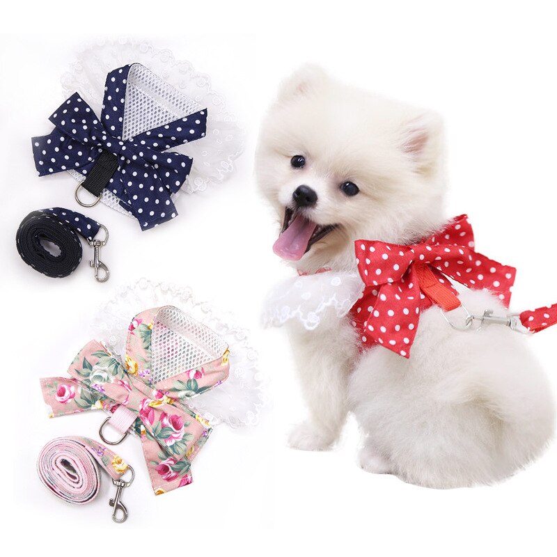 Mooie Huisdier Kraag Cat Clothes Leash Producten Pommeren Borst Harnas Hondenlijn Huisdieren Accessoires Voor Katten Teddy Puppies