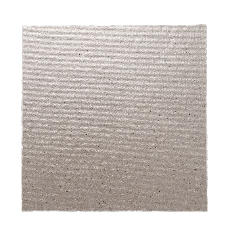 Placa de Mica para microondas, 2 x repuesto de 12x12 cm
