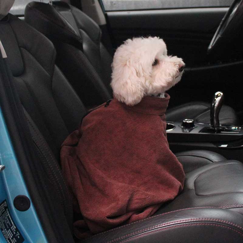 Hundebadekåbe xs - l kæledyrsbadehåndklæde til små mellemstore kæledyrsbadekåbe microfiber superabsorberende tørre kæledyrsbadehåndklæder