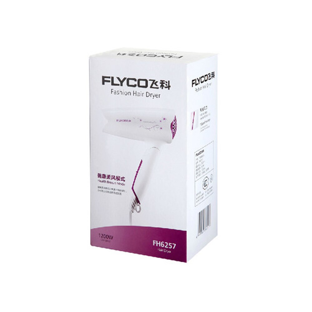 FLYCO-secador de pelo para el hogar, aire de calefacción y refrigeración, electrodomésticos de alta potencia, viento , poco ruido, UE