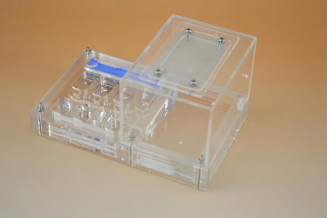 Ant Housing Nest Insect Cage Farms Feed Plastic Acrylic Display Trapezoid Box Ant Villa Nest Small Pet Cages Transparent Wood