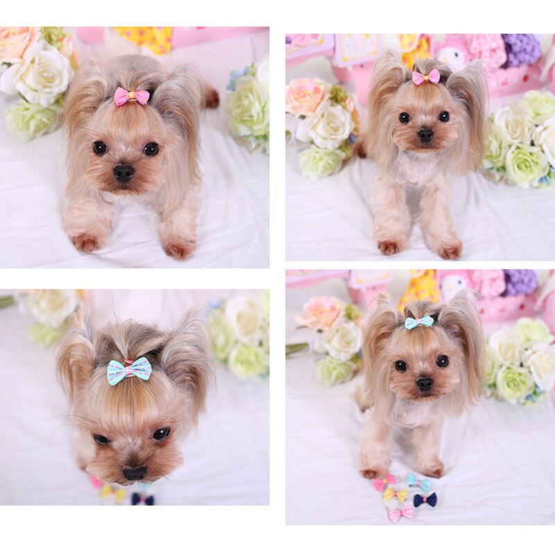 Accesorios para el pelo para perros pequeños, lazos, tocado, suministros para mascotas, pinzas para el pelo, accesorios de lazos de mesa con banda de goma