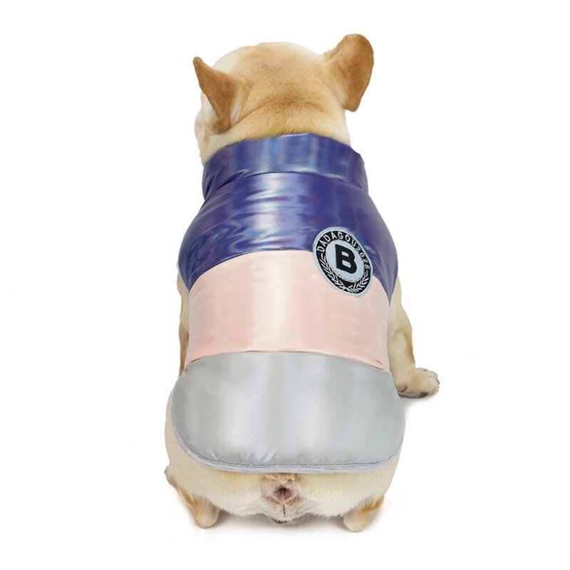 Höst vinter husdjur regnbåge tjurfäktning tryckt vattentät kappa jacka varm valp husdjurskläder chihuahua fransk bulldog kläder