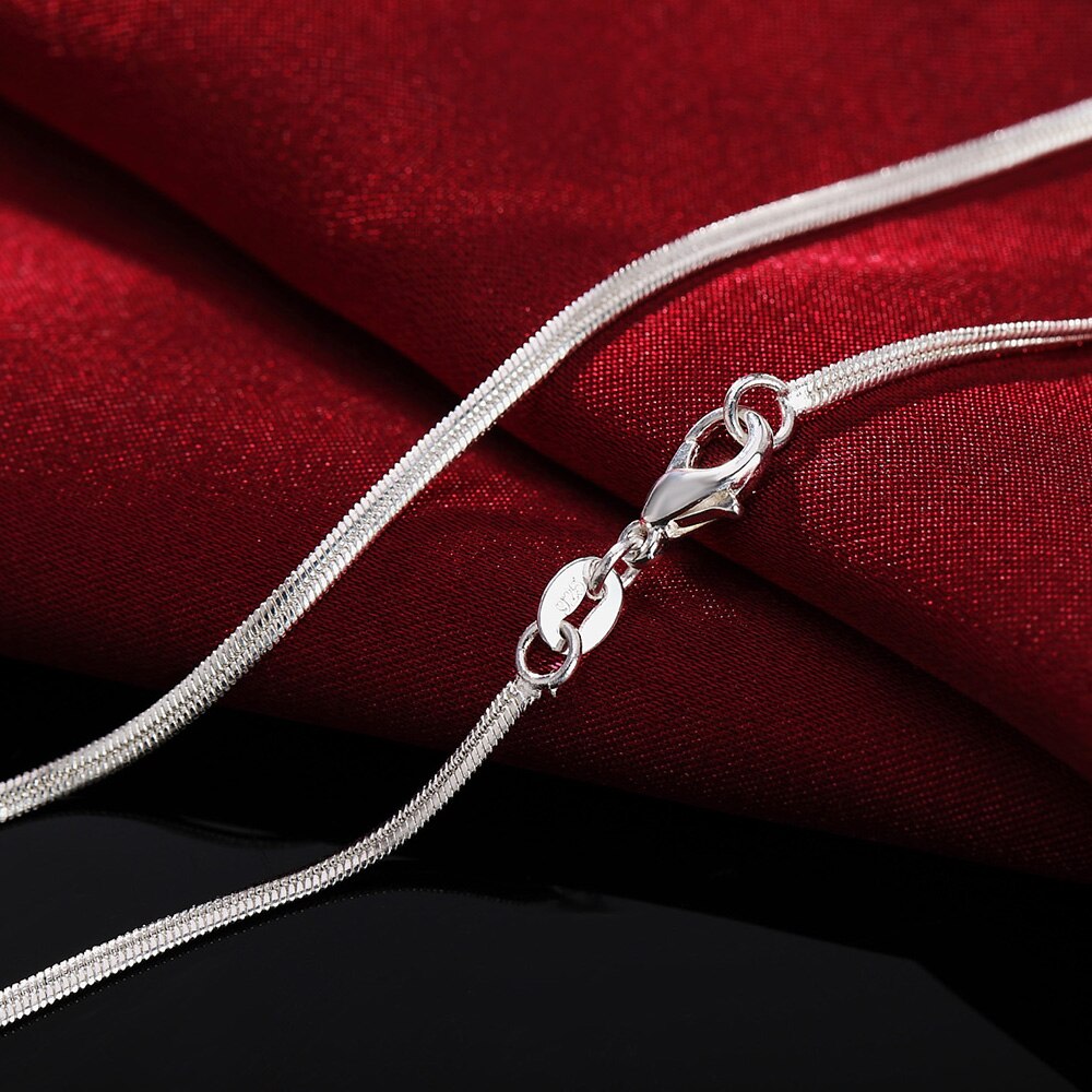 Cadena de serpiente plana para hombre y mujer, collar de 2MM, color plateado, joyería de plata, LN026