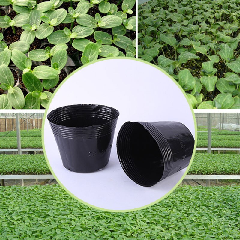 100Pcs 8 Size Kwekerij Pot Plastic In Kwekerij Potten Plantenbakken Niet Gecoat Box Tuin Voortplanting Container Grow Bag Tuin levert