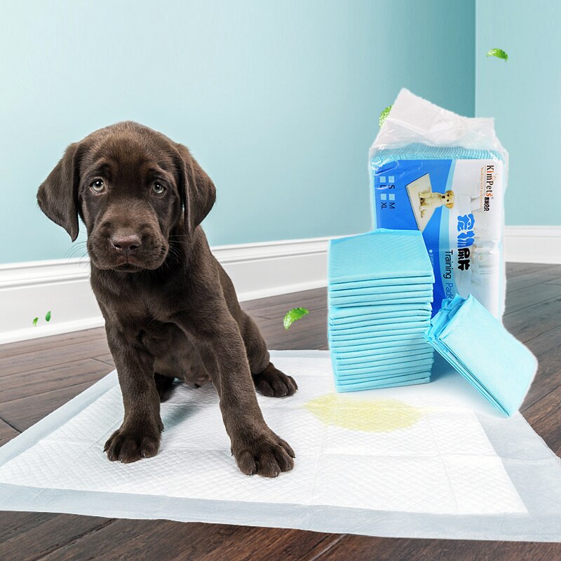 Thickening Pet Dog Pad Healthy Eco-friendly Indoor Dog Toilet Puppy Cost-effective Dog Diaper Care 100pcs