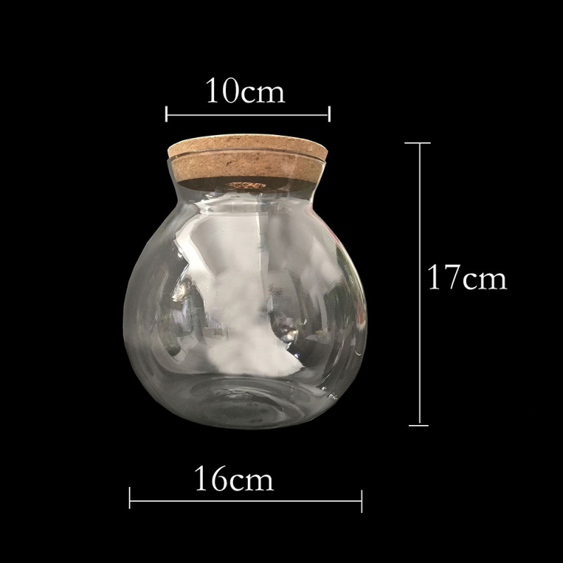 Tarro de cristal redondo para acuario, botella vacía de micropaisaje, luz nocturna, adornos para pecera, 1 ud.: 3