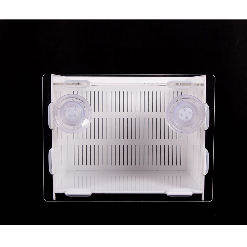 Cuadrado caja de cría de peces tropicales aislamiento caja pequeña caja de pescado red para cría de acrílico blanco tanque de peces de acuario: Sucker / 15x15x15cm