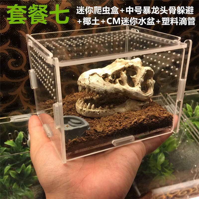 Small Size Reptile Tank Insect Spiders Tortoise Lizard Acrylic Transparent Breeding Box Vivarium Lid Reptile Pet Product: TYPE 6