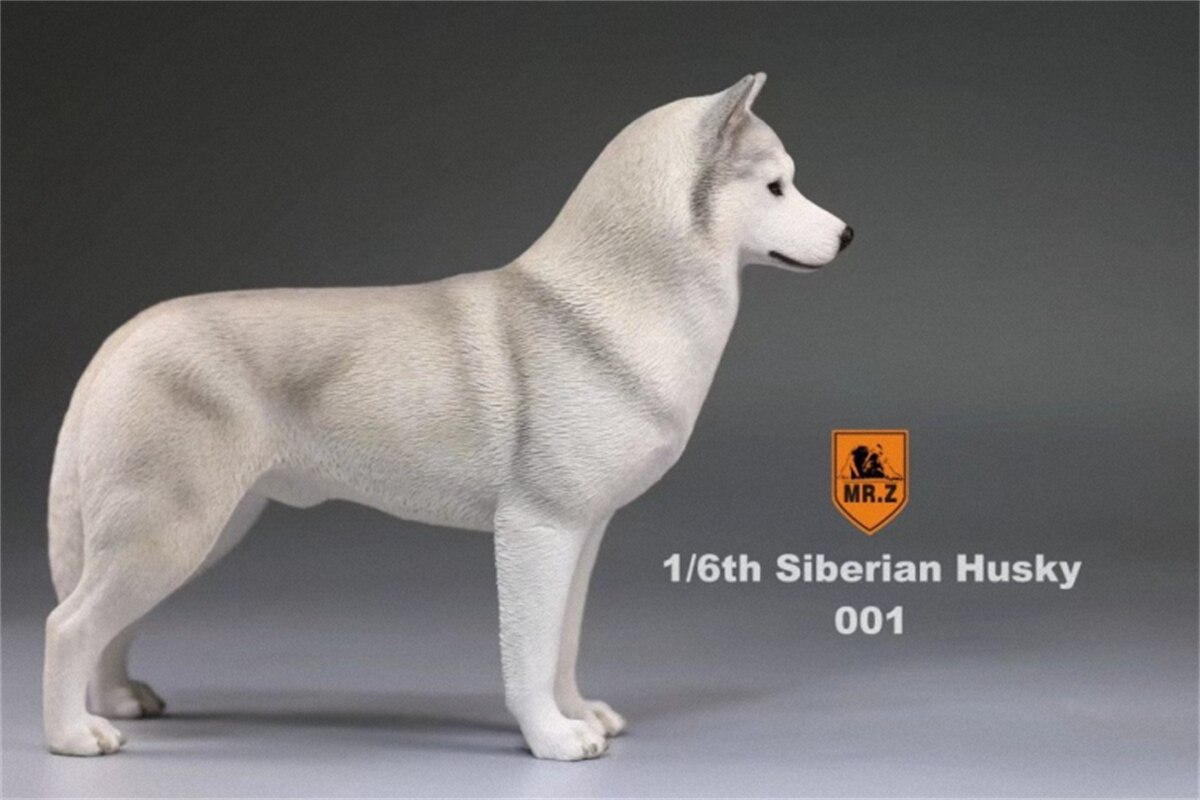 Herr.Z Studio 1:6 Simulation sibirisch heiser Hund Haustier Huskie Figur Ebene Dekor Modell Spielzeug Art Harz Ornamente Hund Hand zu tun