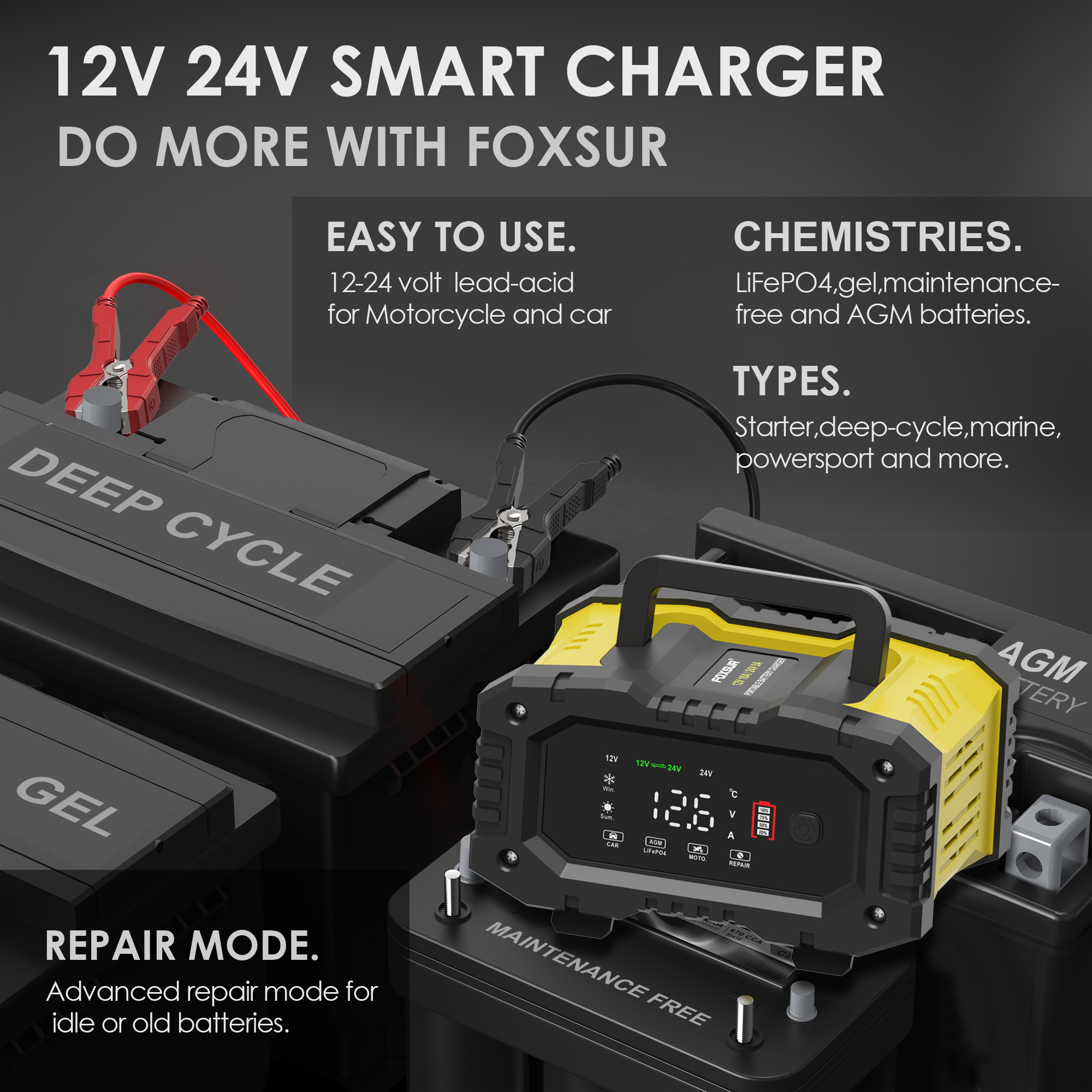 FOXSUR-cargador de batería de coche 10A para baterías de plomo-ácido Lifepo4 AGM de 12V 24V para motocicleta, camión, barco con reparación automática de pulso