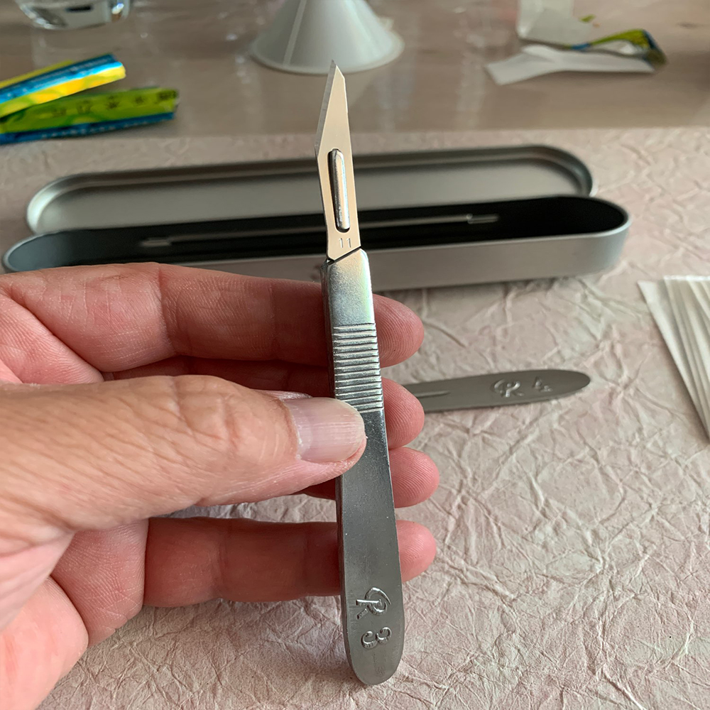 Bisturí quirúrgico de acero inoxidable con cuchillas de 10 piezas 11 # 23 # Caja de almacenamiento con mango de Metal extraíble para injerto de plantas, tallado, reparación DIY