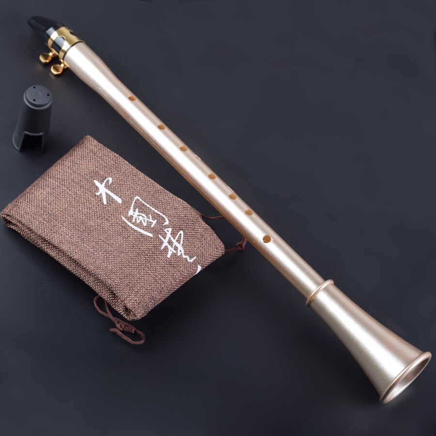 Mini clarinete chino saxo de bolsillo, Saxo inteligente Instrumentos musicales de viento principiantes con cañas Bb/ Eb/ C/ D/ E/ F Key
