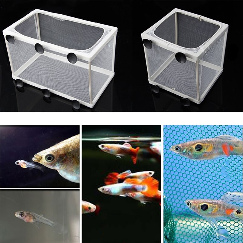 Aquarium Aquarium Guppy élevage éleveur poisson bébé gaze piège boîte isolateur S/L P0RE