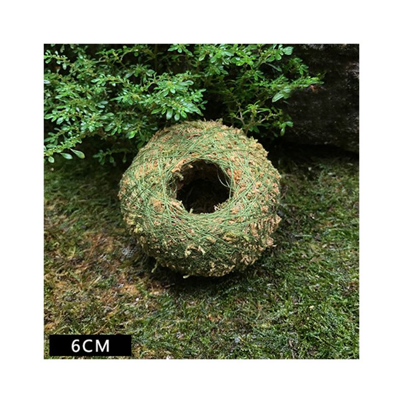 Moss Ball Pot Bird Nest Flower Plant Home Office Desk Table Garden DIY Decoration: 1