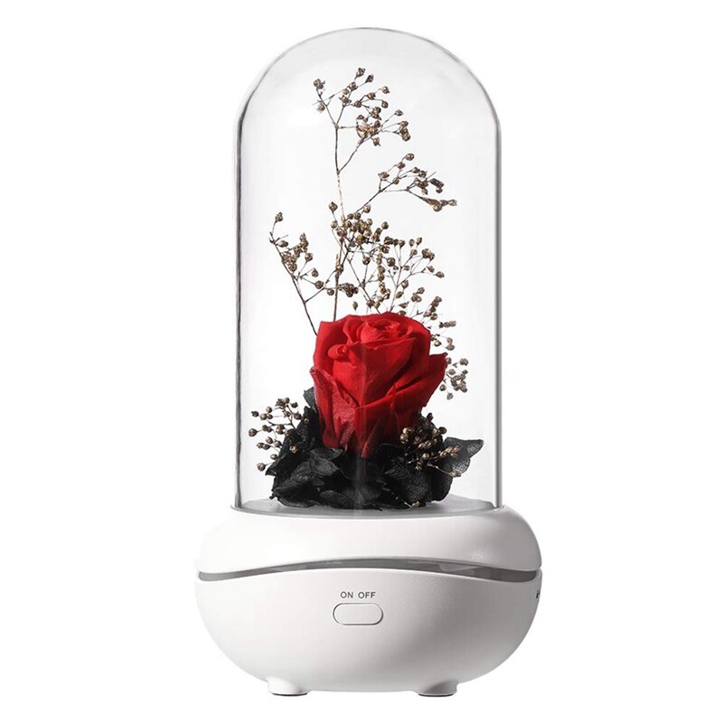 2 Plats En Verre Transparent Pour Chauffe-cire - 115 Mm Et 119 Mm - Résistants à La Chaleur